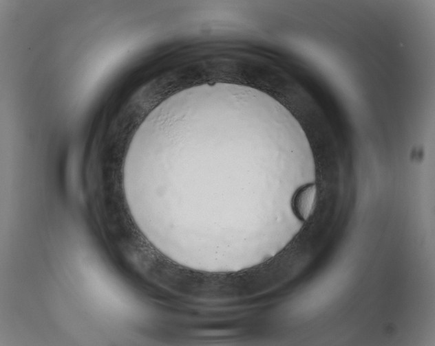 X0000111140189200907211147