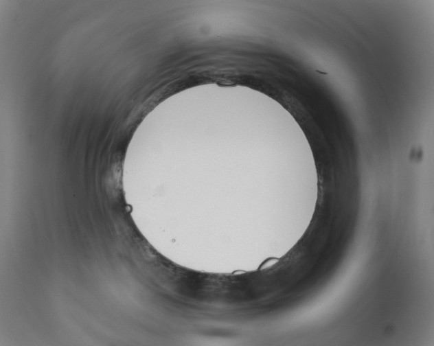 X0000111140190200907211147