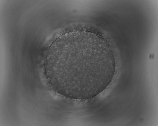 X0000111140192200907211147