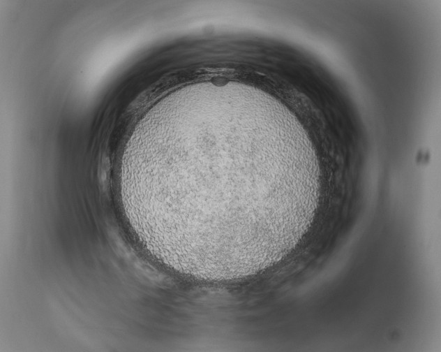 X0000111140194200907211147