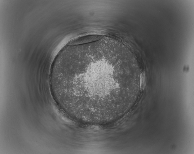 X0000111140195200907211147