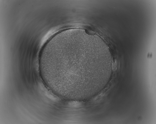 X0000111140198200907211147