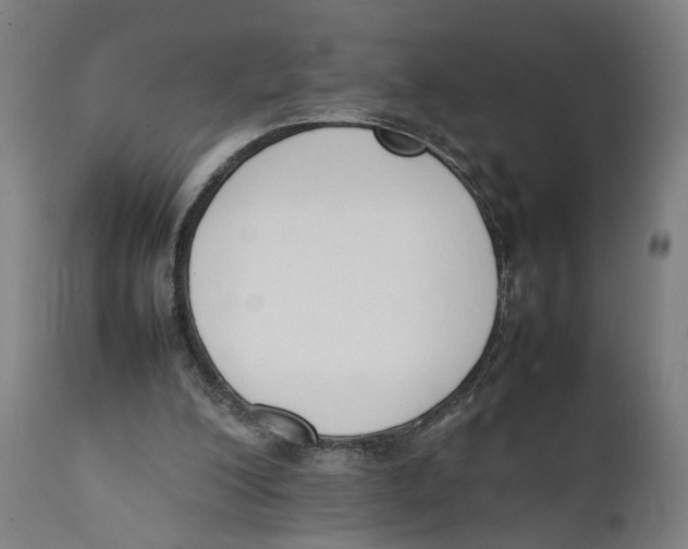 X0000111140200200907211147