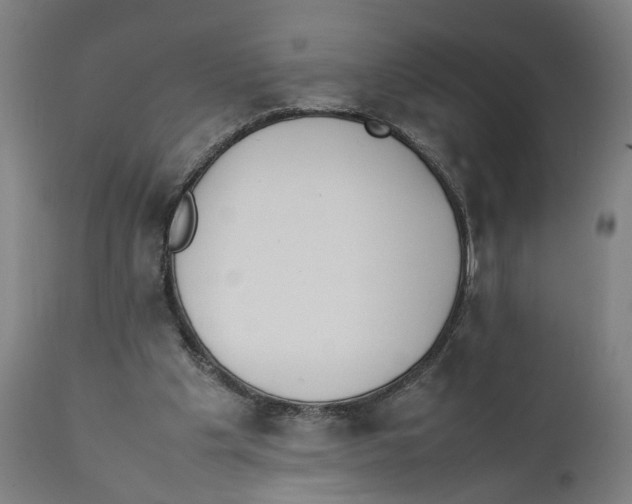 X0000111140201200907211147