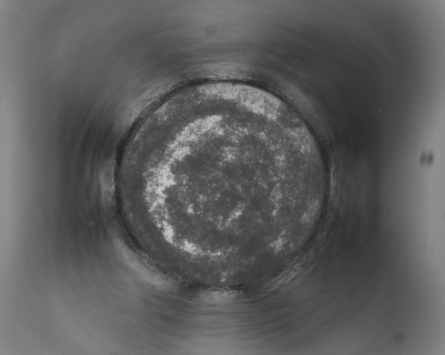 X0000111140202200907211147