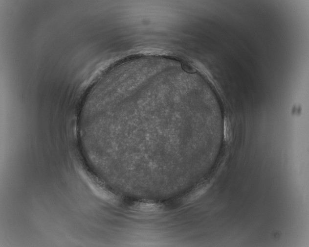 X0000111140205200907211146