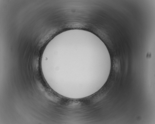 X0000111140206200907211146