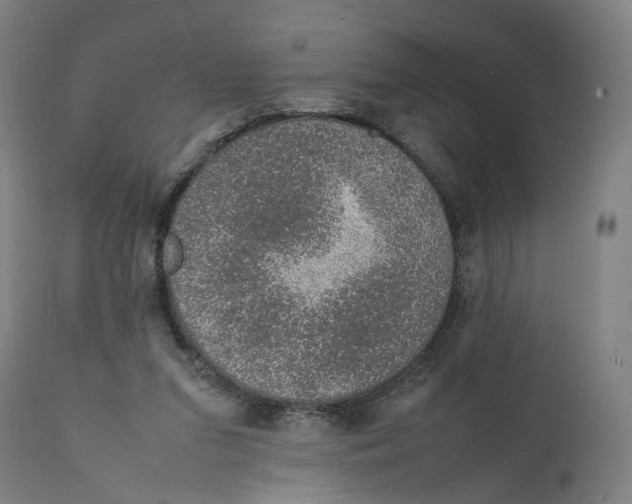 X0000111140207200907211146