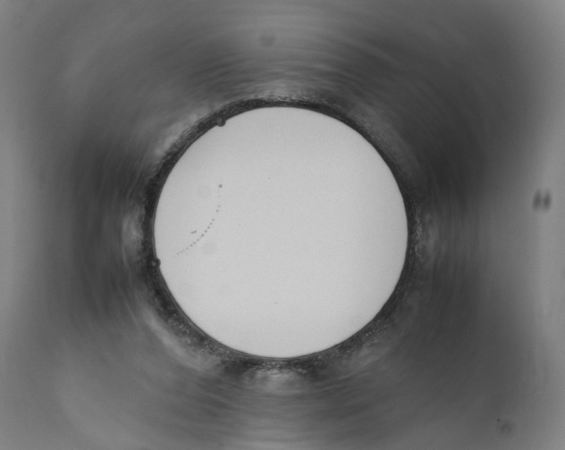 X0000111140208200907211146