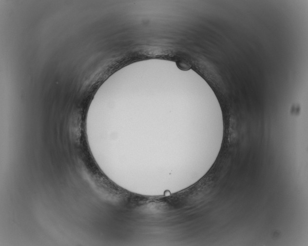 X0000111140210200907211146