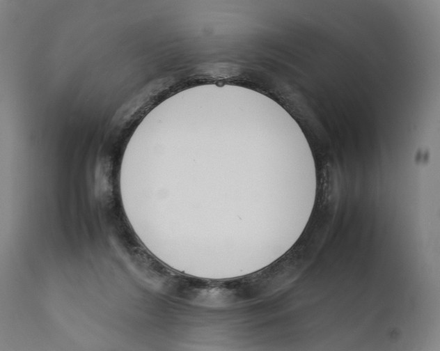 X0000111140212200907211146