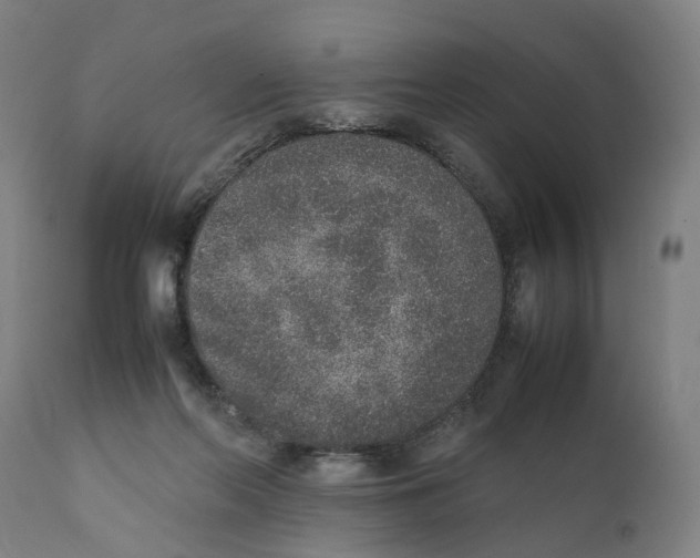 X0000111140214200907211146