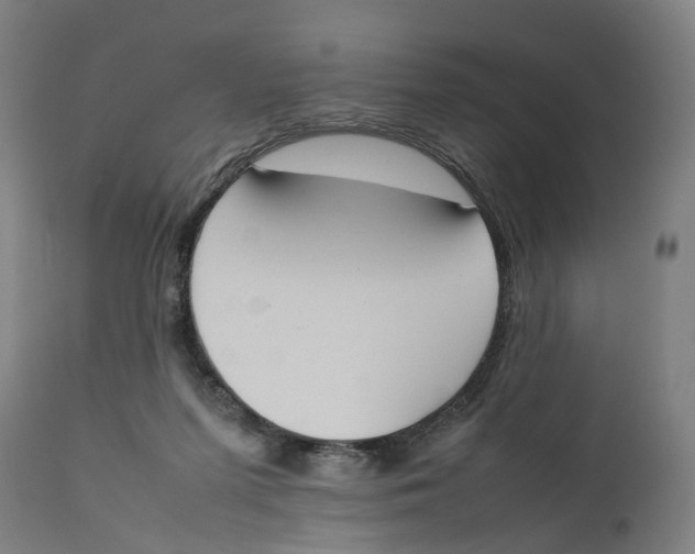 X0000111140215200907211146