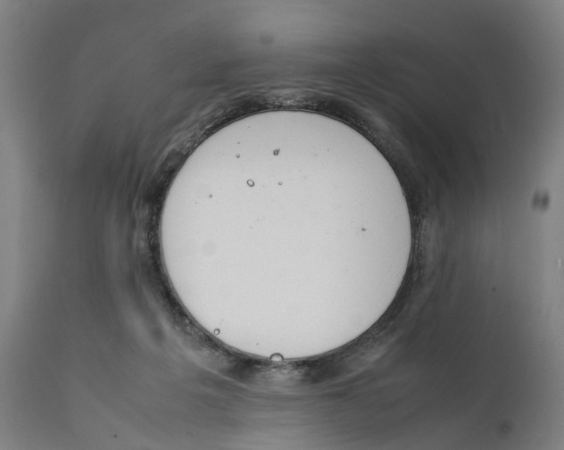 X0000111140217200907211146