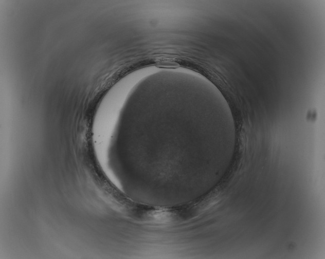 X0000111140219200907211146