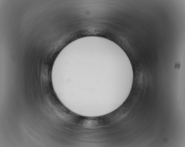 X0000111140220200907211146