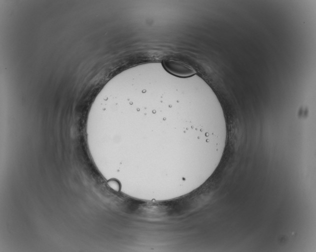 X0000111140221200907211146