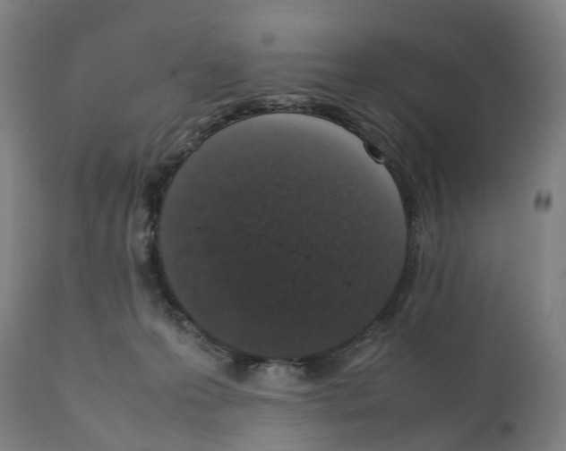 X0000111140223200907211146