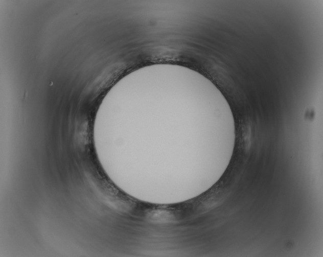 X0000111140224200907211146