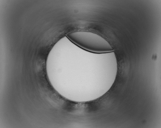 X0000111140225200907211146