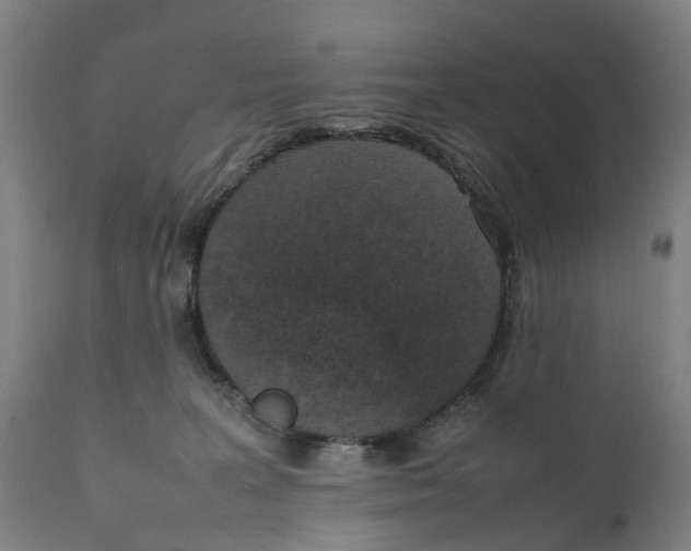 X0000111140227200907211146