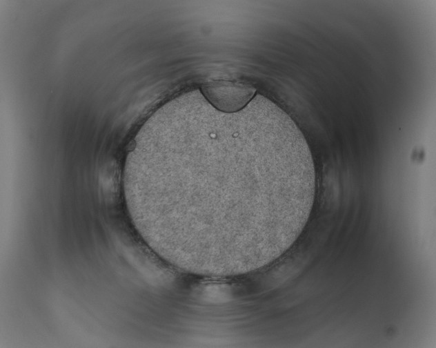 X0000111140228200907211146