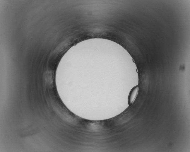 X0000111140232200907211146