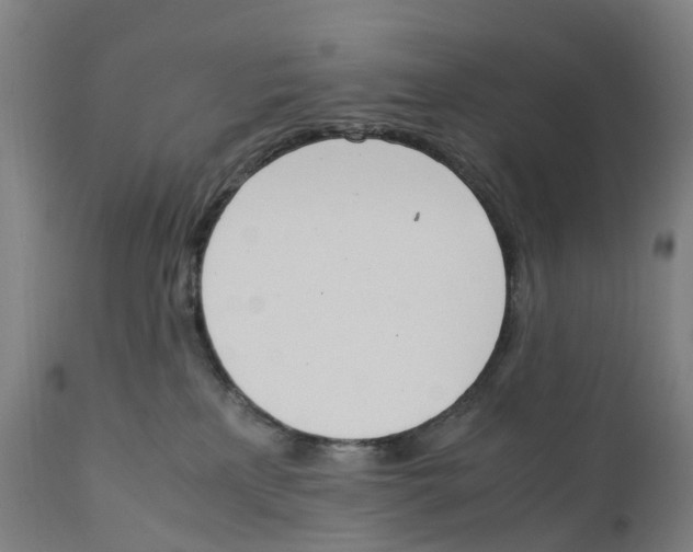 X0000111140233200907211146