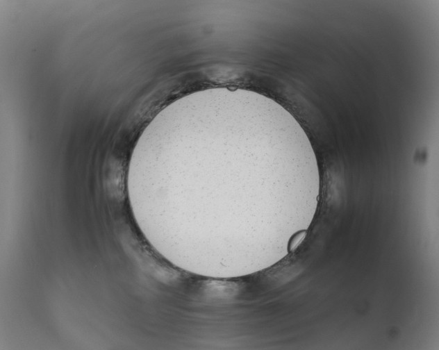 X0000111140234200907211146