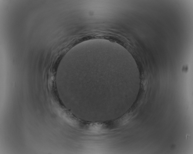 X0000111140235200907211146