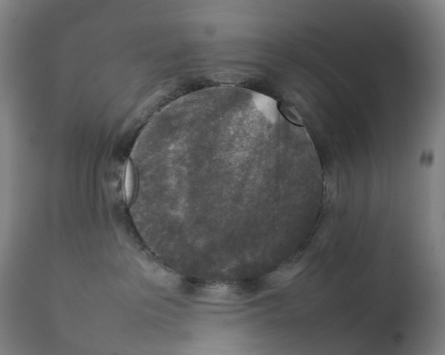 X0000111140237200907211146