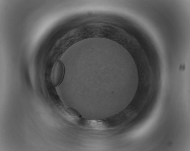 X0000111140239200907211146