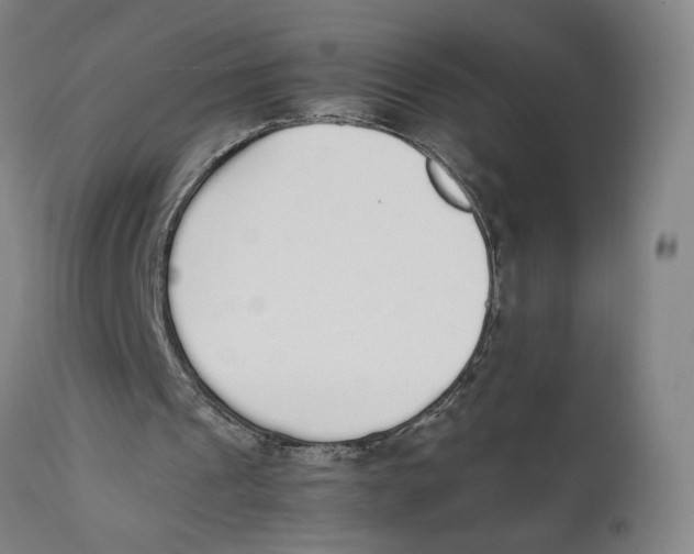 X0000111140241200907211145