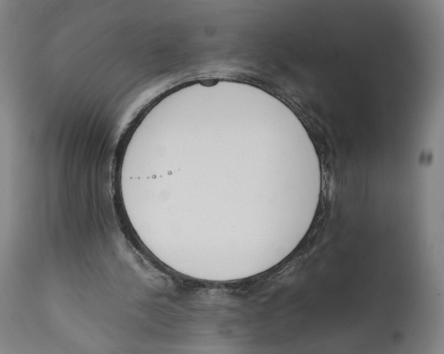 X0000111140244200907211145