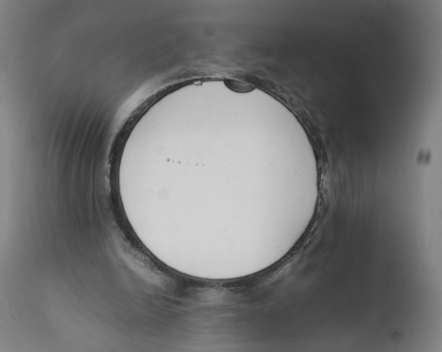 X0000111140246200907211145