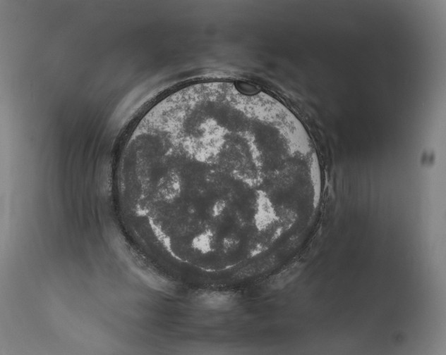 X0000111140247200907211145