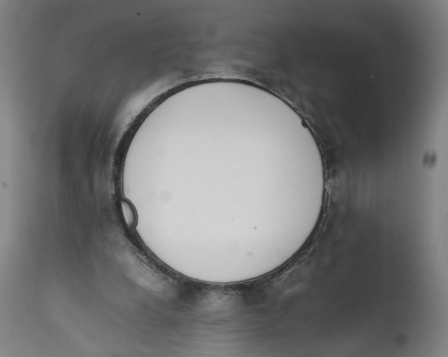 X0000111140248200907211145