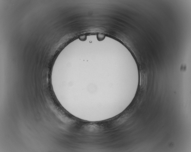 X0000111140253200907211145