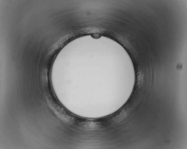 X0000111140254200907211145