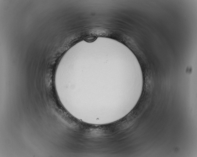 X0000111140259200907211146