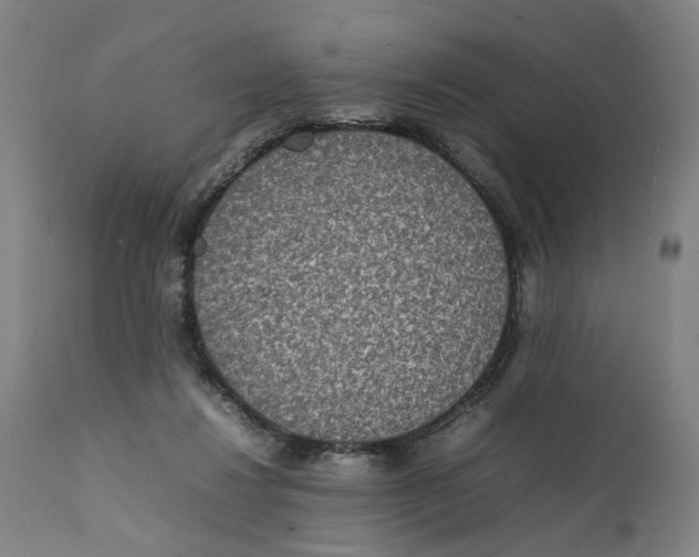 X0000111140260200907211146