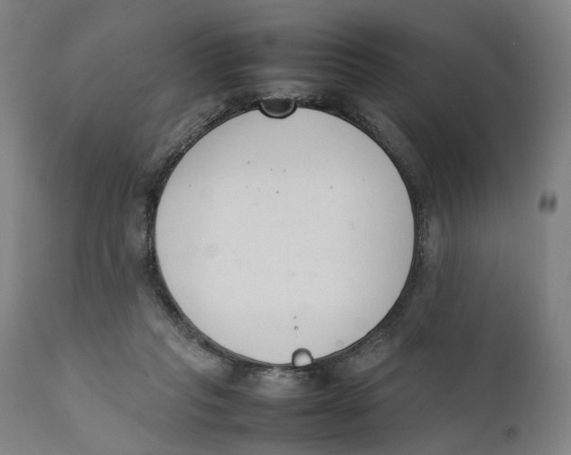 X0000111140261200907211146