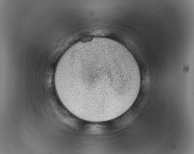 X0000111140268200907211146