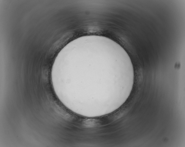 X0000111140269200907211146