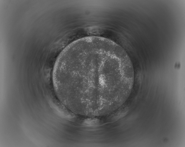 X0000111140271200907211146