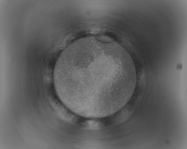 X0000111140272200907211146