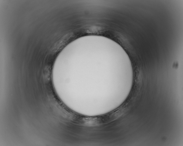 X0000111140273200907211146