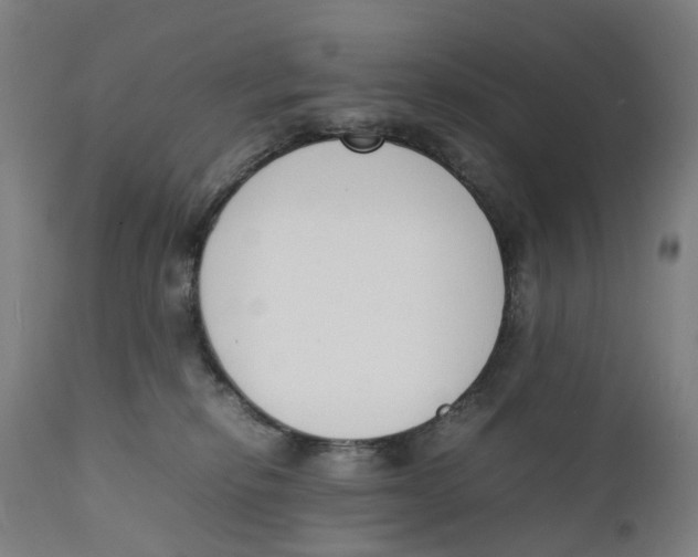 X0000111140278200907211146