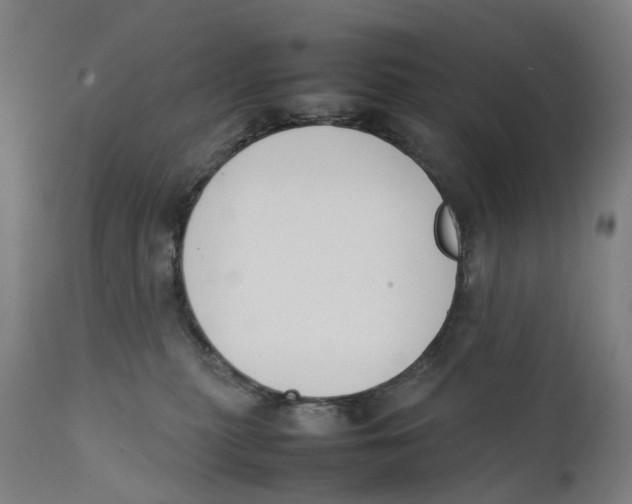 X0000111140279200907211146