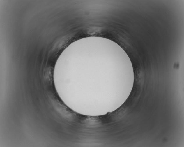 X0000111140280200907211146